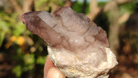 Natural Window Amethyst Quartz Crystals  x 6 From Chiredzi, Zimbabwe