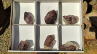 Natural Window Amethyst Quartz Crystals  x 6 From Chiredzi, Zimbabwe