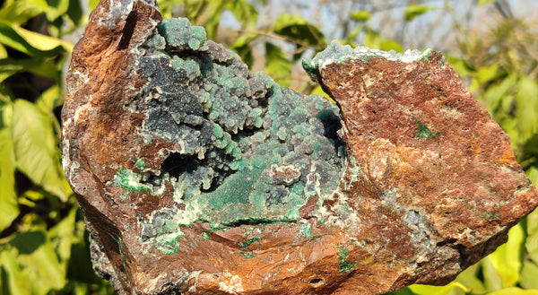 Natural Drusy Coated Ball Malachite On Dolomite Specimen x 1 From Likasi, Congo