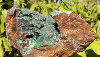 Natural Drusy Coated Ball Malachite On Dolomite Specimen x 1 From Likasi, Congo