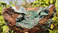 Natural Drusy Coated Ball Malachite On Dolomite Specimen x 1 From Likasi, Congo