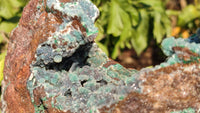 Natural Drusy Coated Ball Malachite On Dolomite Specimen x 1 From Likasi, Congo