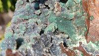 Natural Drusy Coated Ball Malachite On Dolomite Specimen x 1 From Likasi, Congo