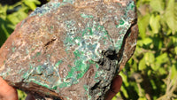 Natural Drusy Coated Ball Malachite On Dolomite Specimen x 1 From Likasi, Congo