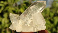 Natural Small Clear Quartz Clusters  x 12 From Madagascar