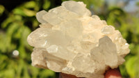 Natural Small Clear Quartz Clusters  x 12 From Madagascar