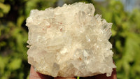 Natural Small Clear Quartz Clusters  x 12 From Madagascar