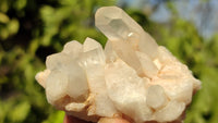 Natural Small Clear Quartz Clusters  x 12 From Madagascar