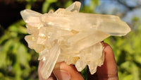 Natural Small Clear Quartz Clusters  x 12 From Madagascar