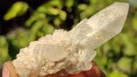 Natural Small Clear Quartz Clusters  x 12 From Madagascar