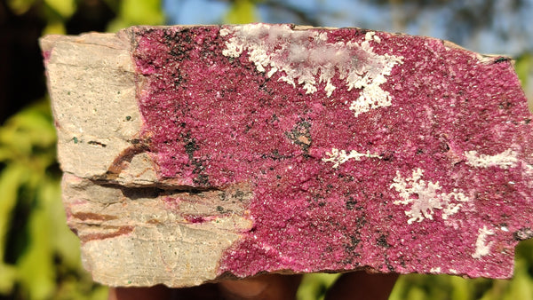 Natural Pink Salrose Cobaltion Dolomite Specimens  x 3 From Kakanda, Congo