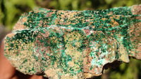 Natural Drusy Chrysocolla & Malachite Dolomite Specimens x 3 From Likasi, Congo