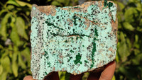 Natural Drusy Chrysocolla & Malachite Dolomite Specimens x 3 From Likasi, Congo