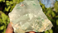 Natural Rough Jade Cobbed Specimens x 12 From Swaziland