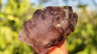 Natural Window Amethyst Crystal Specimens  x 12 From Chiredzi, Zimbabwe