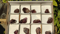 Natural Window Amethyst Crystal Specimens  x 12 From Chiredzi, Zimbabwe