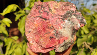 Natural Rough Red Rhodonite Specimens x 3 From Zimbabwe