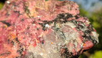 Natural Rough Red Rhodonite Specimens x 3 From Zimbabwe