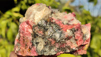 Natural Rough Red Rhodonite Specimens x 3 From Zimbabwe