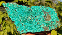 Natural Silica Chrysocolla On Dolomite Matrix Specimens x 2 From Congo