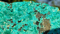 Natural Silica Chrysocolla On Dolomite Matrix Specimens x 2 From Congo