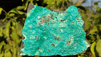 Natural Silica Chrysocolla On Dolomite Matrix Specimens x 2 From Congo