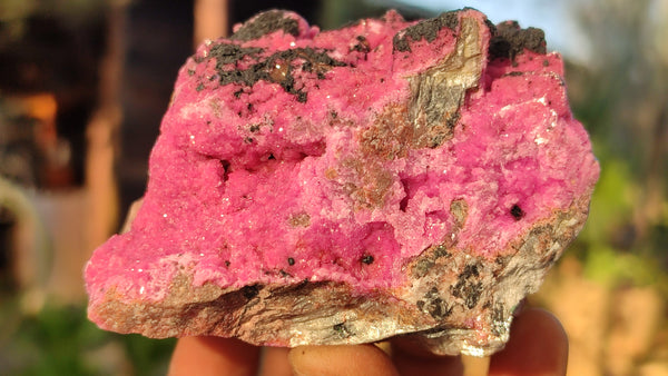 Natural Pink Salrose Cobaltion Dolomite Specimens  x 4 From Kakanda, Congo