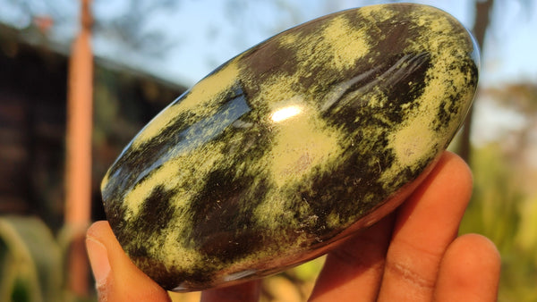 Polished Green Leopard Stone Free Forms  x 6 From Zimbabwe