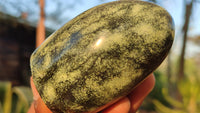 Polished Green Leopard Stone Free Forms  x 6 From Zimbabwe