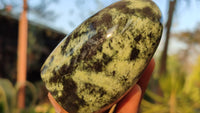 Polished Green Leopard Stone Free Forms  x 6 From Zimbabwe