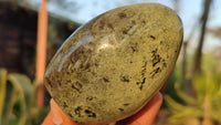 Polished Green Leopard Stone Free Forms  x 6 From Zimbabwe