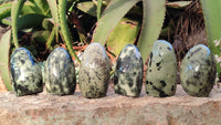 Polished Green Leopard Stone Free Forms  x 6 From Zimbabwe