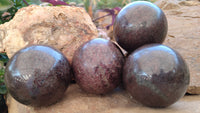 Polished Red Pyrope Garnet Spheres  x 4 From Madagascar