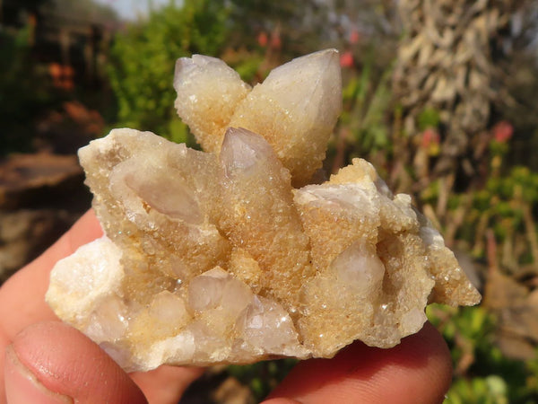 Natural Mixed Spirit Quartz Clusters x 35 From Boekenhouthoek, South Africa