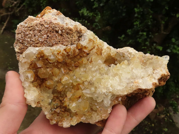 Natural Golden Limonite Quartz Clusters  x 2 From Zambia - TopRock