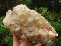 Natural Golden Limonite Quartz Clusters  x 2 From Zambia - TopRock