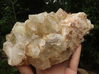 Natural Golden Limonite Quartz Clusters  x 2 From Zambia - TopRock