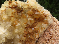 Natural Golden Limonite Quartz Clusters  x 2 From Zambia - TopRock