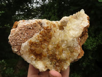 Natural Golden Limonite Quartz Clusters  x 2 From Zambia - TopRock