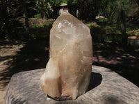 Natural Half Polished Quartz Crystal (Cut To Stand) x 1 From Angola - TopRock