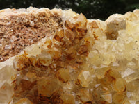 Natural Golden Limonite Quartz Clusters  x 2 From Zambia - TopRock