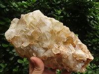 Natural Golden Limonite Quartz Clusters  x 2 From Zambia - TopRock