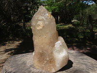 Natural Half Polished Quartz Crystal (Cut To Stand) x 1 From Angola - TopRock