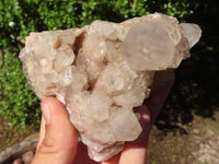 Natural Cascading White Phantom Quartz Clusters  x 3 From Luena, Congo - Toprock Gemstones and Minerals 