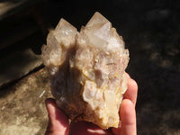 Natural Cascading White Phantom Quartz Clusters  x 3 From Luena, Congo - Toprock Gemstones and Minerals 