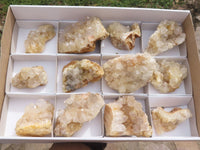 Natural Golden Healer Limonite "Honeycomb" Quartz Specimens  x 12 From Solwezi, Zambia - TopRock