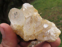 Natural Golden Healer Limonite "Honeycomb" Quartz Specimens  x 12 From Solwezi, Zambia - TopRock