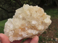 Natural Golden Healer Limonite "Honeycomb" Quartz Specimens  x 12 From Solwezi, Zambia - TopRock