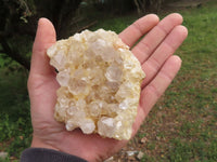 Natural Golden Healer Limonite "Honeycomb" Quartz Specimens  x 12 From Solwezi, Zambia - TopRock