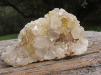 Natural Golden Healer Limonite "Honeycomb" Quartz Specimens  x 12 From Solwezi, Zambia - TopRock